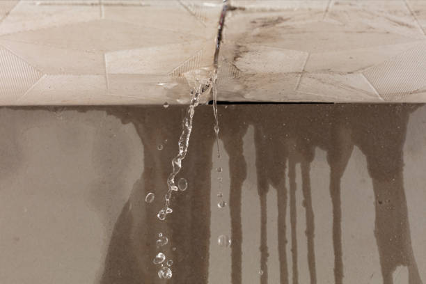 Professional Water Damage Repair technician working in Marshall, IL